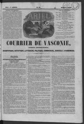 vignette
