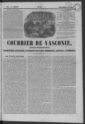 vignette