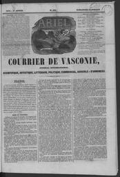 vignette