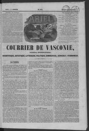 vignette