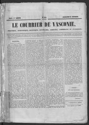vignette