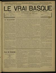 vignette