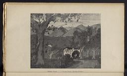 vignette