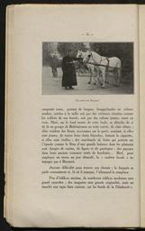 vignette