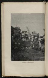 vignette