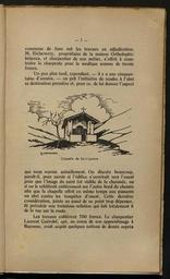 vignette