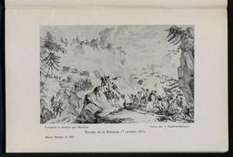 vignette