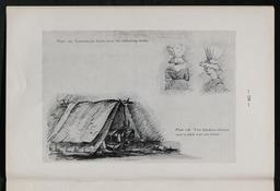 vignette