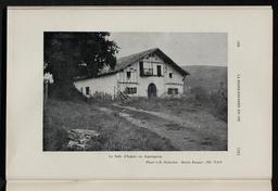 vignette