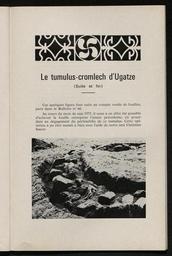 vignette