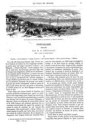 vignette