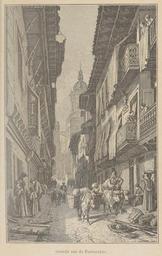 vignette