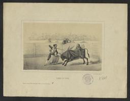 vignette
