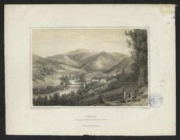 vignette