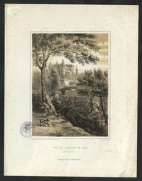 vignette