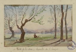 vignette