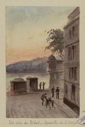 vignette