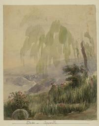 vignette