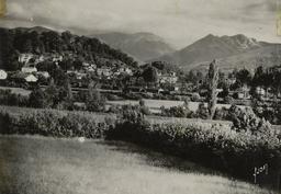 vignette