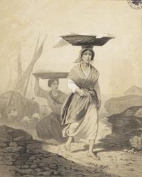 vignette