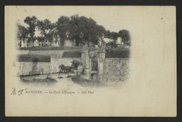 vignette
