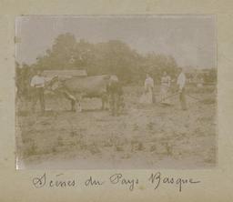 vignette
