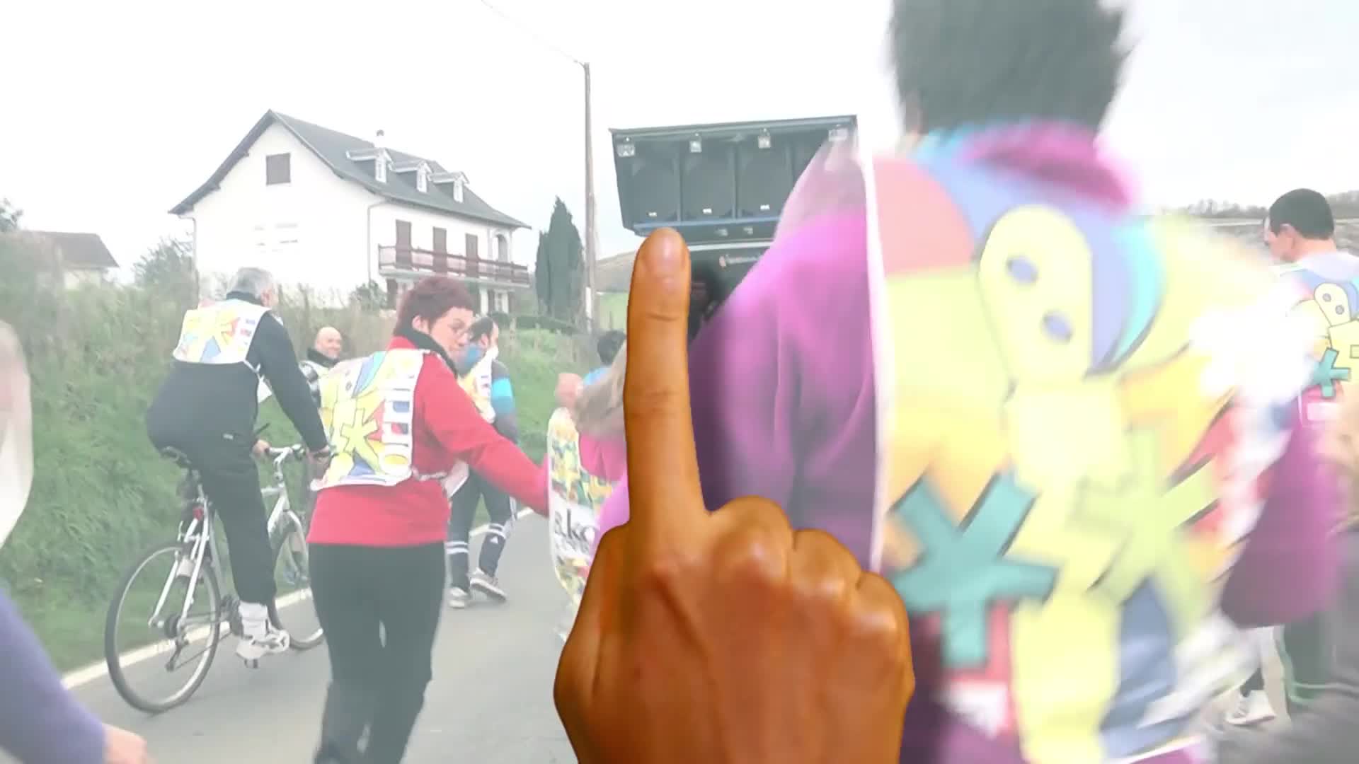 vignette
