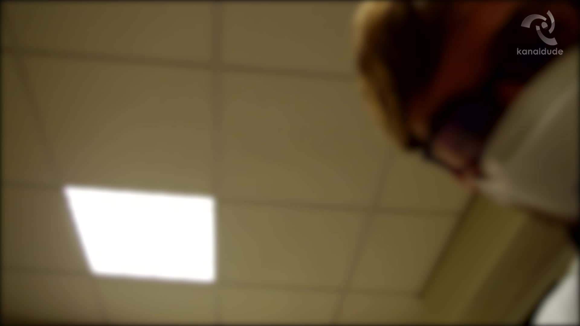 vignette