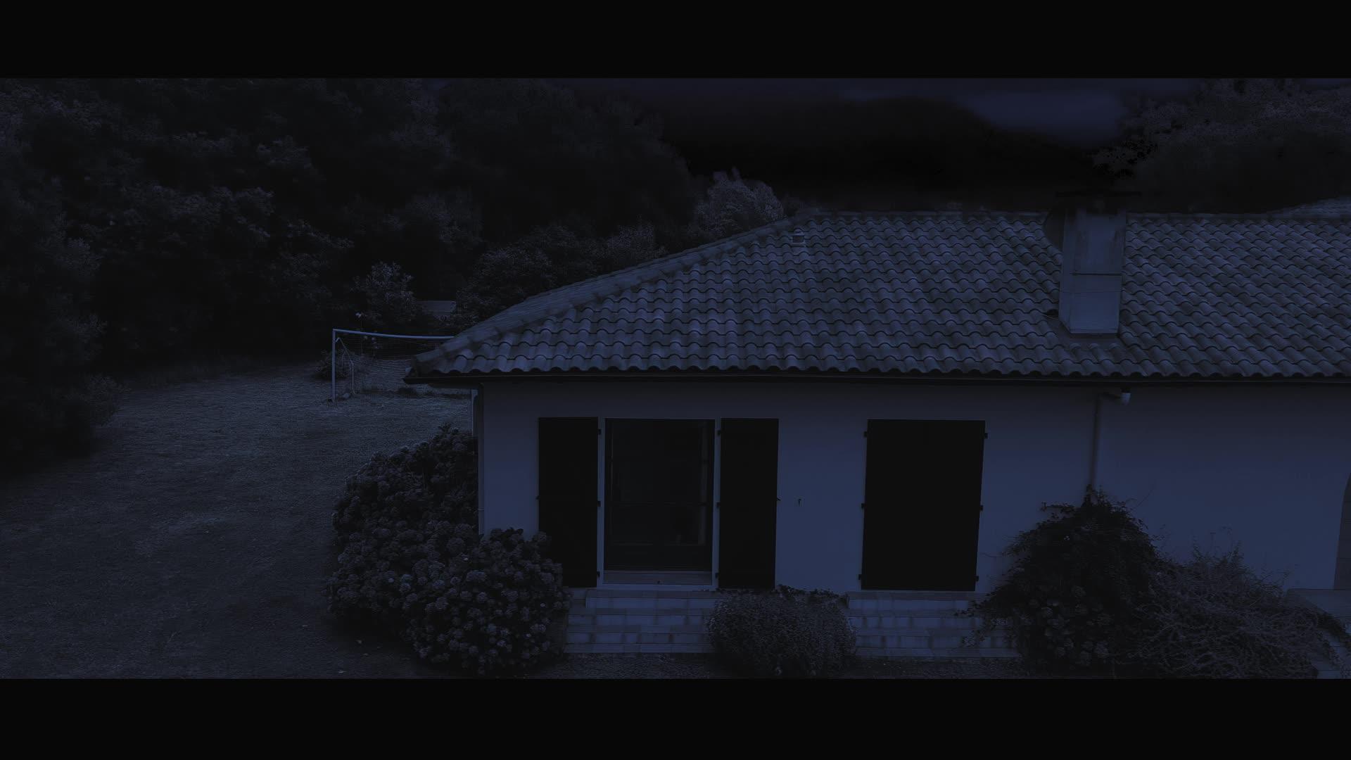 vignette